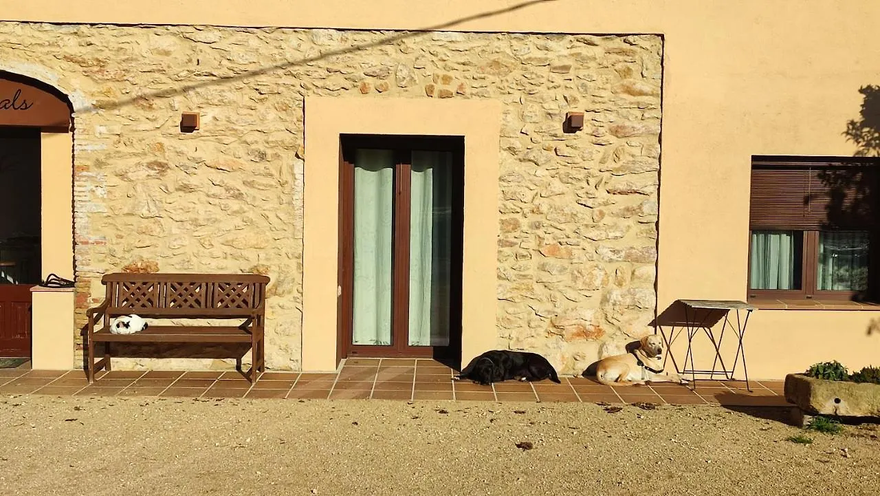 Can Costals Olivo Pals Apartamento