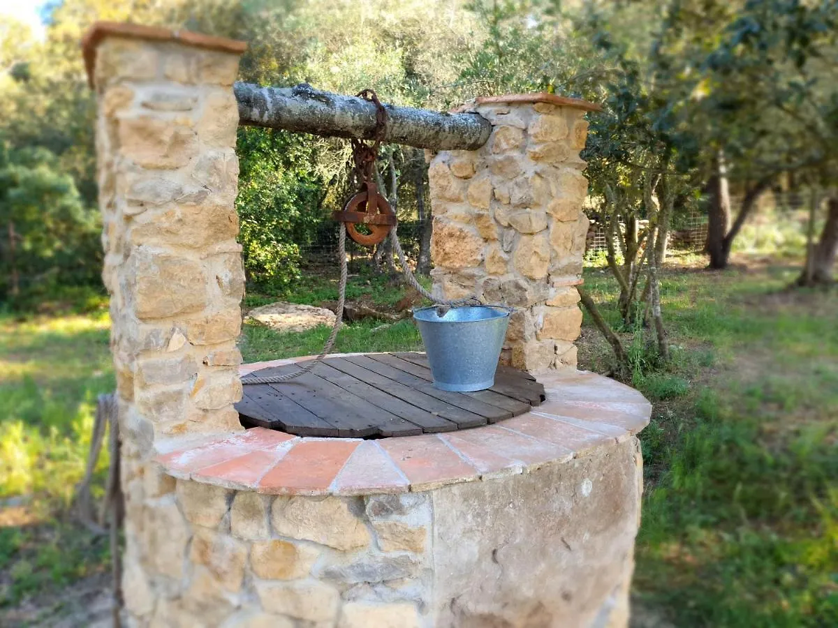 Apartamento Can Costals Naturaleza Pals España